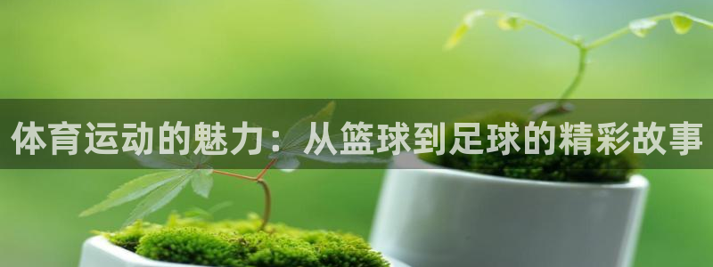 JJB竞技宝官网下载联系电话:体育运动的魅力:从篮球到足球的