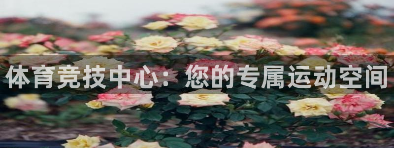 JJB竞技宝官方正版app集团E.ON:体育竞技中心:您的专